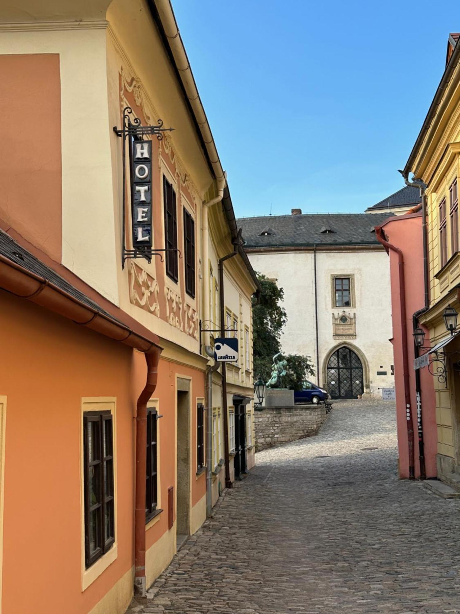 Penzion Hrncir Kutná Hora Eksteriør billede